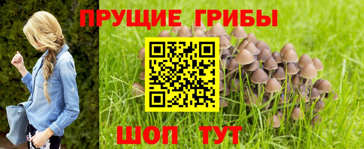 Галлюциногенные грибы GOLDEN TEACHER Новочебоксарск
