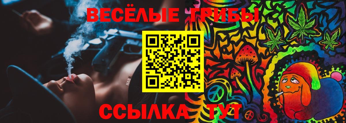 Галлюциногенные грибы прущие грибы  Галлюциногенные грибы MAGIC MUSHROOMS  закладка  Новочебоксарск  Вход с VPN 
