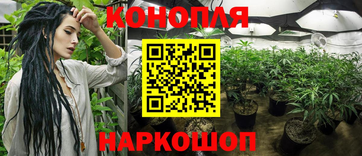 Конопля семена  Шишки марихуана Ganja  Канабис гибрид  Шишки марихуана OG Kush  Новочебоксарск  Вход с VPN 